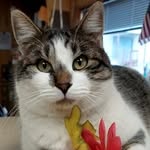 Walter Custer - @custerswalter - Instagram