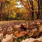 Walter Daniel Silva - @walterdaniel.silva.58 - Instagram