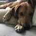 Walter Danko - Facebook