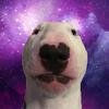 Walter - @dankowalter - TikTok
