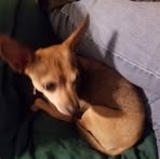 Walter Day - Facebook