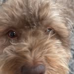 Walter day - @firewalterday - Instagram