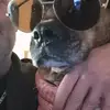 Walter Day - @walter.day0 - TikTok