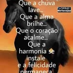 Walter de Araujo - @walterdearaujoa - Instagram