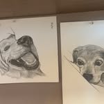Walter & Dexter - @walter_dextergram - Instagram
