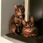 Walter & Dexter - @walteranddexter - Instagram