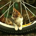 雷猩猩的傻傻 - @dragon_walter - Instagram