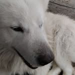 Walter Drake - @walter.drake.5243 - Instagram