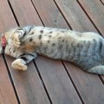 Walter Drescher - @walter.drescher.39 - Instagram