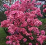 Walter Dressel - Facebook