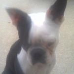 Walter Douglas Driver - @dougdriver8796 - Instagram