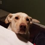 J Walter Dudley - @jwalterdudley - Instagram