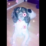 Walter Dudley - @walt_dudley - Instagram