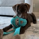 Walter Dudley - @wallys_wildworld - Instagram