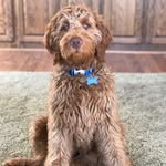 Walter Conrad Dutton - @theman_themyth_thedood - Instagram