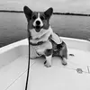WalterNDutton - @walterndutton - TikTok