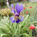 Walter Eberle - Facebook