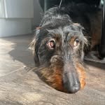 Walter Eccles - @walter_the_sausage_x - Instagram