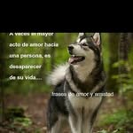 Walter Edenilson Cuatro - @walteredenilsoncuatro - Instagram