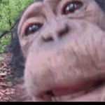 Walter n Eden - @monke_lick.mp4 - Instagram
