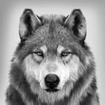 Walter Edge - @dawolf1956 - Instagram