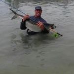 Walter Ehrlich - @ehrlichwalter - Instagram
