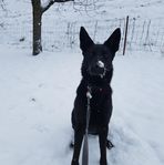 Walter Eisele - Facebook