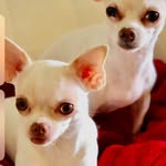 Walter Ellison - @elliisonwalter - Instagram