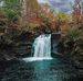 Walter Ellison - Facebook