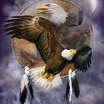 Walter Elms - @walter.elms - Instagram