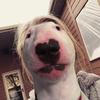 user9866400165298 - @walter_kambrey - TikTok