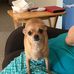 Walter Embrey - Facebook