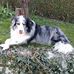 Walter Engler - Facebook