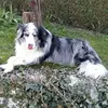 Walter Engler - @walter.engler - TikTok