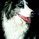 Walter Engler - @englerwalter - Instagram