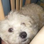 Yvonne Marie Waterson Enright - @watersonenright - Instagram