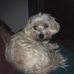 Walter Ehrich - Facebook