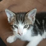 waltereverson - @waltereverson - Instagram