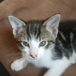 waltereverson - @waltereverson - Instagram