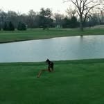 Walter Fairman - @walterfairman - Instagram