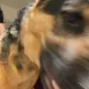 Walterfalls - @walterfalls - TikTok