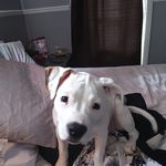 Walter Farley - @walter.farley.16 - Instagram