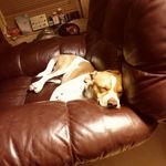 walter Farris - @farris_walter - Instagram