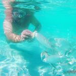 Walter - @walter_farris_672 - Instagram