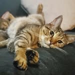 Walter & Fenwick - @walterandbabyfenwick - Instagram