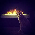 Walter Fields - @fields.walter - Instagram