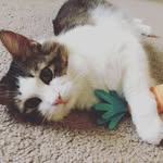 Walter Fitzgerald Johnson - @walterfitzgeraldjohnson - Instagram