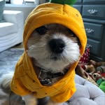 WalterFitz - @walterfitzgerald - Instagram