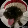 walter_fried - @walter_fried - TikTok