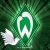 Walter Friedrich243 - @walterfriedrich241 - TikTok